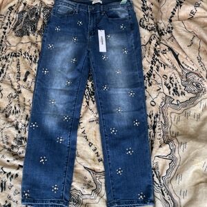NWT Vigoss Size 29 Lilith Embellished Mom Straight Jeans Stitch Fix High Rise